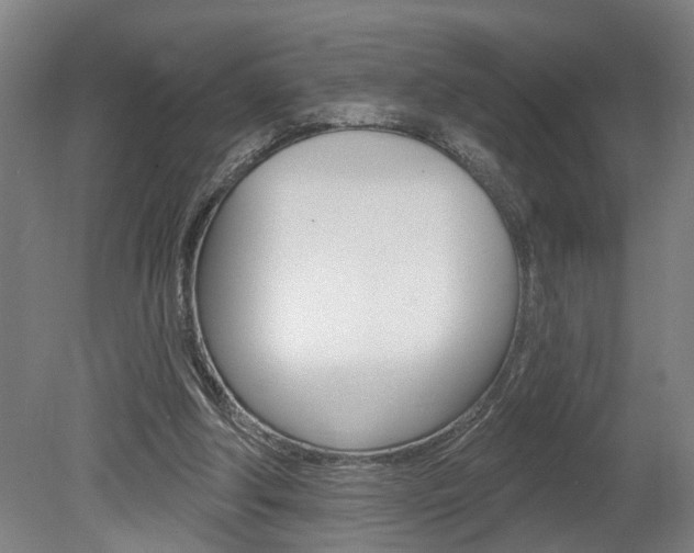 X0000078870202200611131037