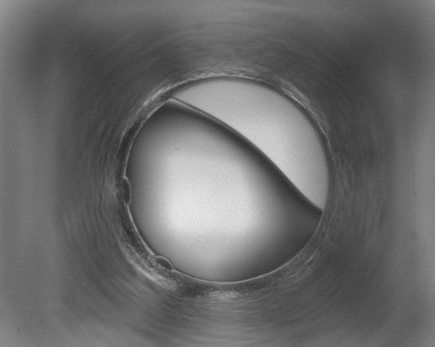 X0000078870203200611131037