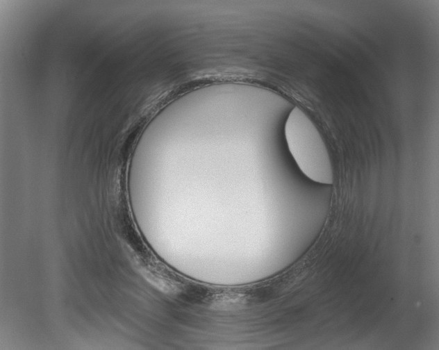X0000078870206200611131036