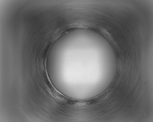 X0000078870213200611131036