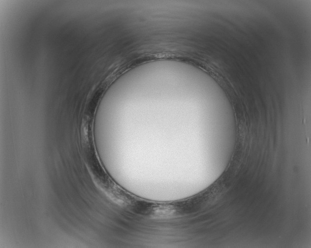 X0000078870214200611131036