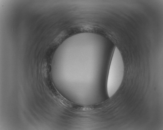X0000078870223200611131036