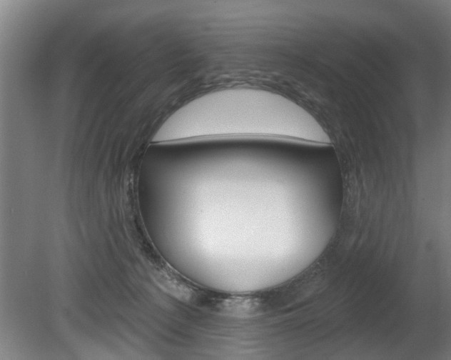 X0000078870225200611131036