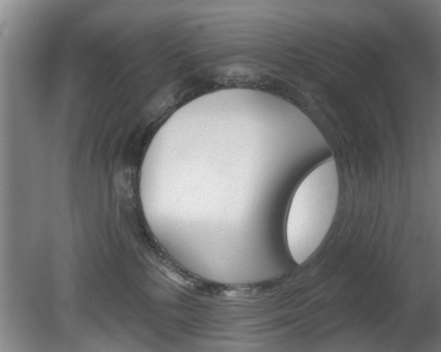 X0000078870232200611131036