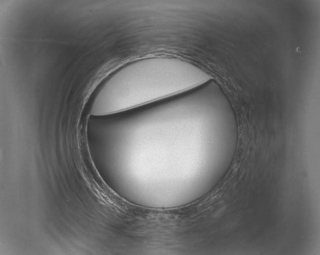 X0000078870242200611131035