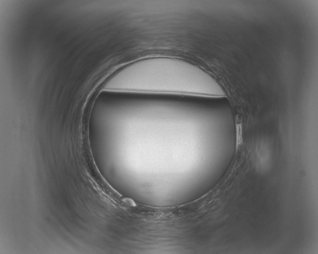 X0000078870243200611131035