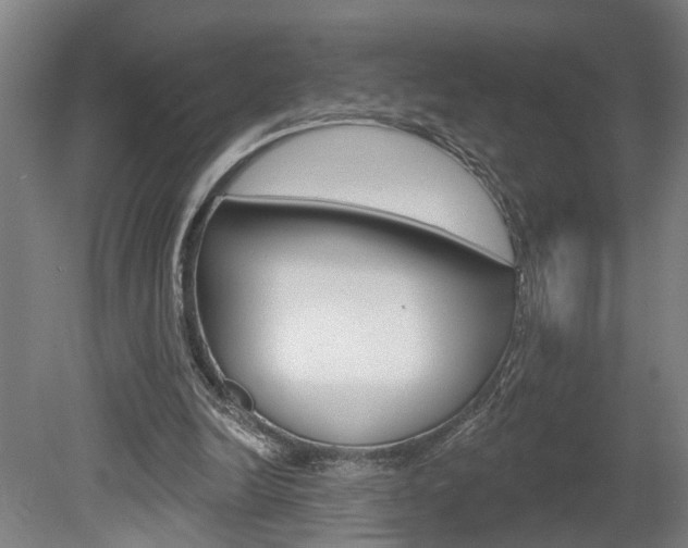 X0000078870246200611131035