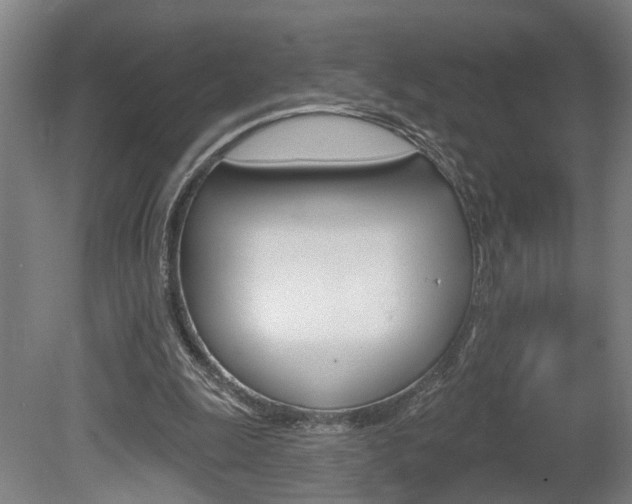 X0000078870247200611131035