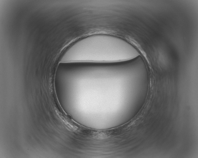 X0000078870249200611131035