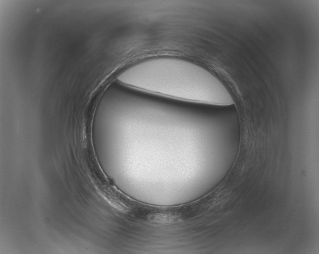 X0000078870251200611131035