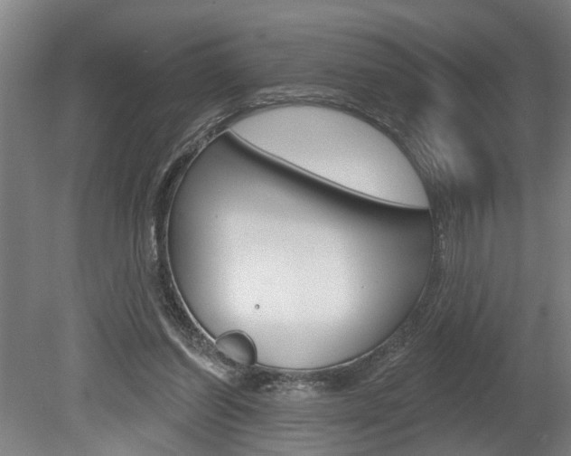 X0000078870254200611131035