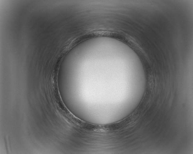 X0000078870259200611131035
