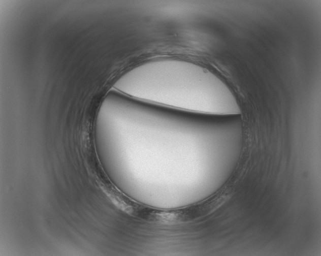 X0000078870265200611131035