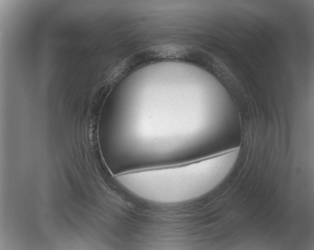 X0000078870268200611131036