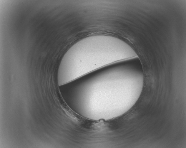 X0000078870269200611131036