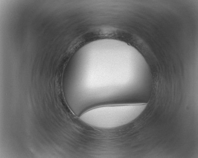 X0000078870270200611131036