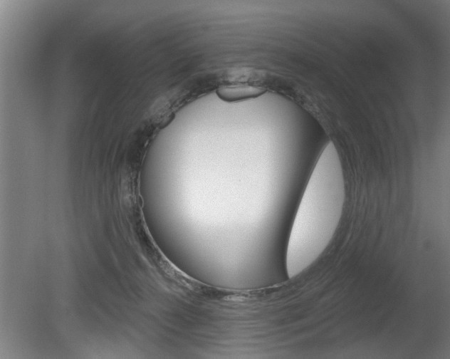 X0000078870272200611131036