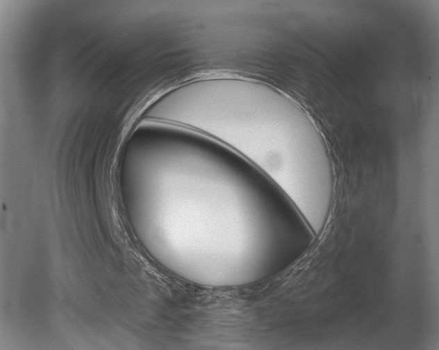 X0000078870289200611131035