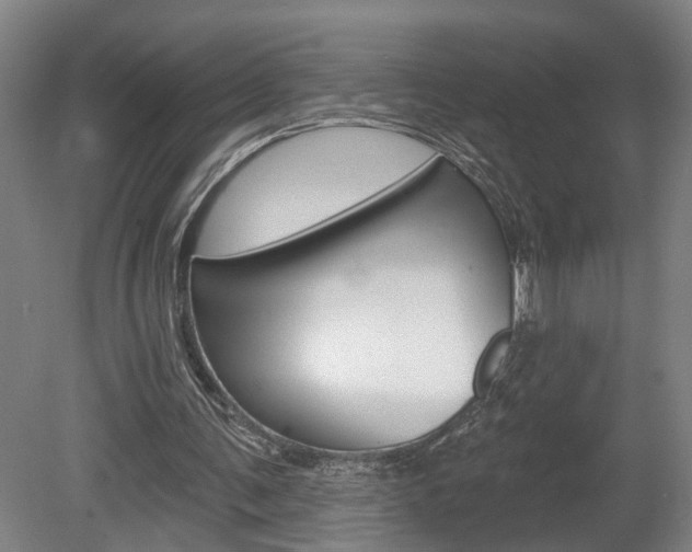 X0000078870291200611131035