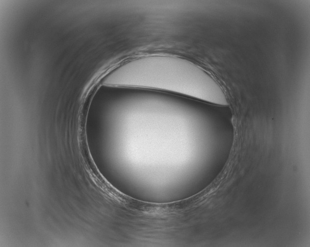 X0000078870293200611131035