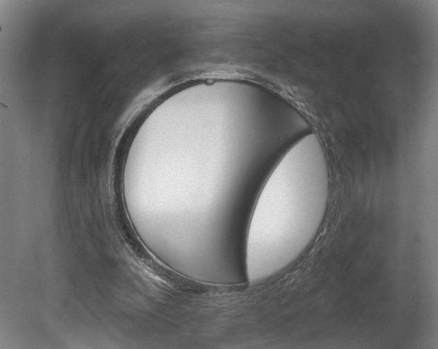 X0000078870296200611131035