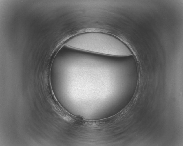 X0000078870297200611131035
