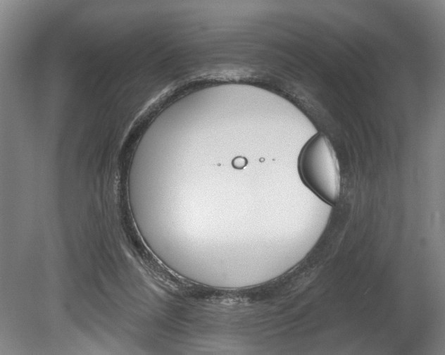 X0000078870304200611131035