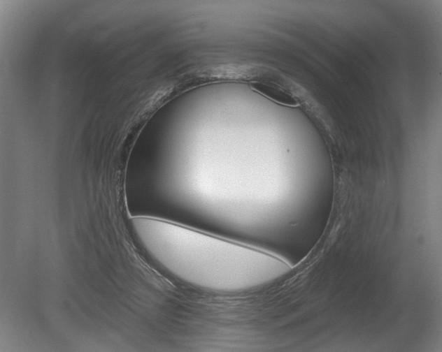 X0000078870305200611131035