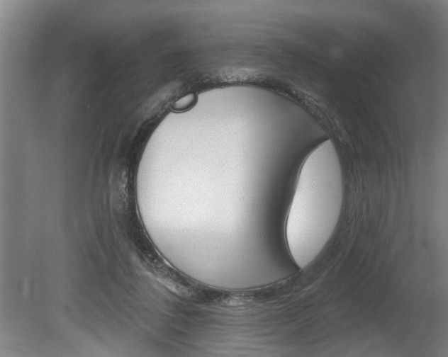 X0000078870308200611131035