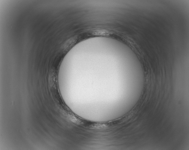 X0000078870322200611131035