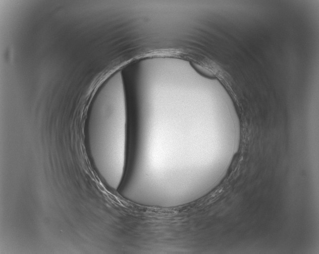 X0000078870337200611131033