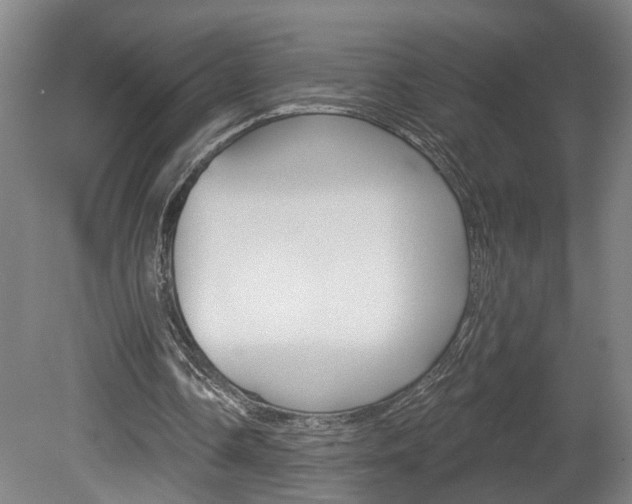 X0000078870338200611131033