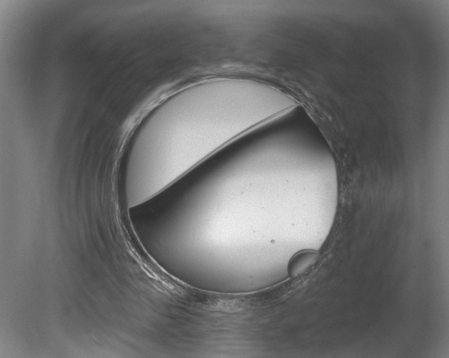 X0000078870341200611131034