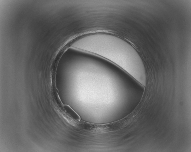 X0000078870350200611131034