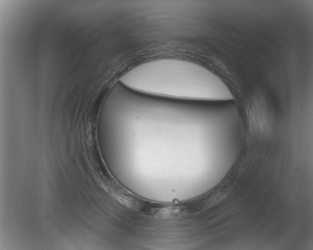 X0000078870366200611131034