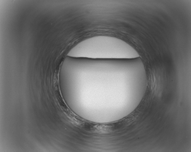 X0000078870367200611131034
