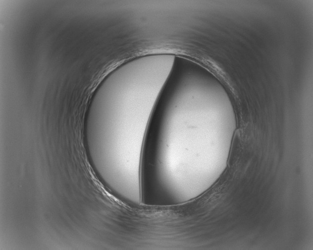 X0000078870385200611131033