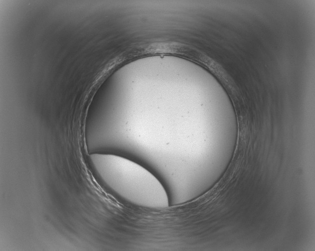 X0000078870386200611131033