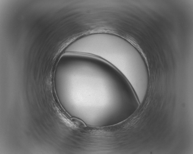 X0000078870389200611131033