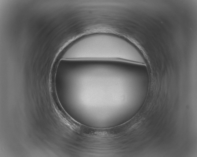 X0000078870391200611131033