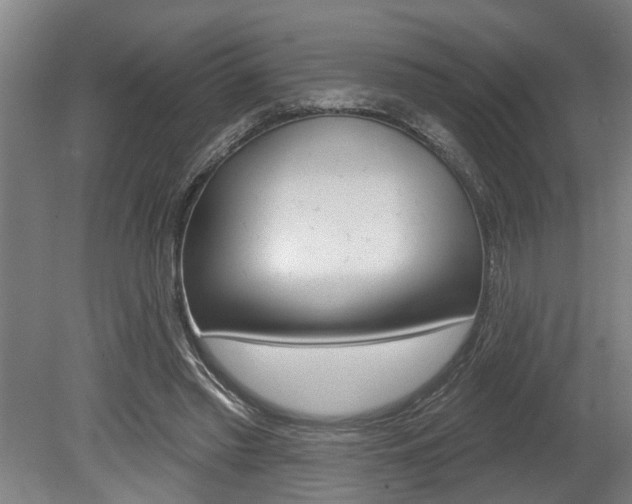 X0000078870397200611131033
