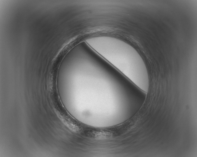 X0000078870400200611131033