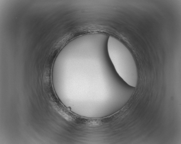 X0000078870402200611131033