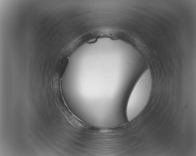 X0000078870413200611131033