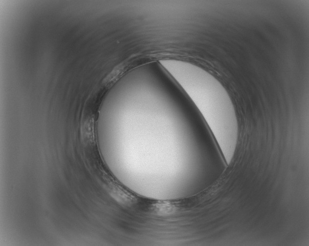 X0000078870425200611131033