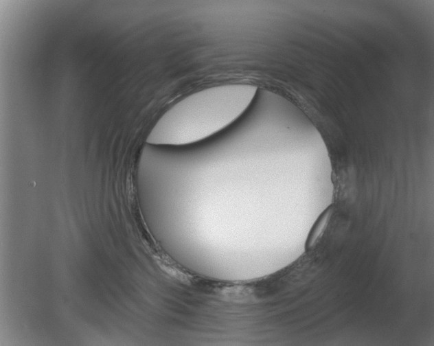 X0000078870426200611131033