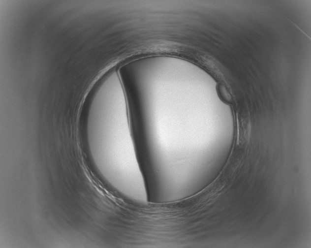 X0000078870435200611131032