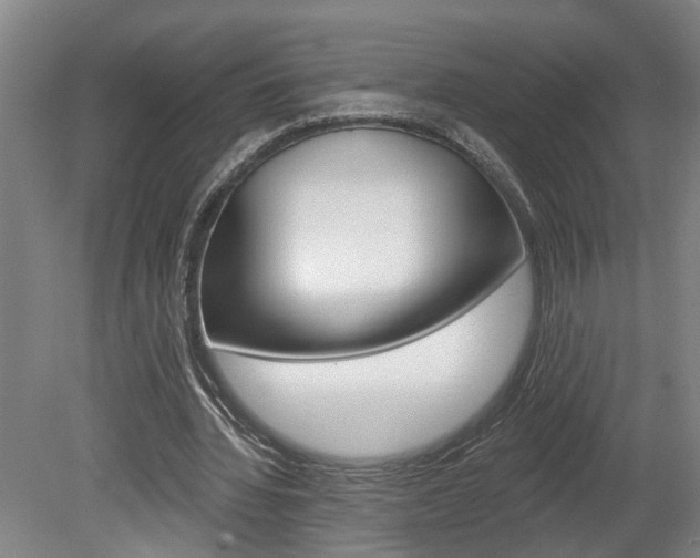 X0000078870436200611131032