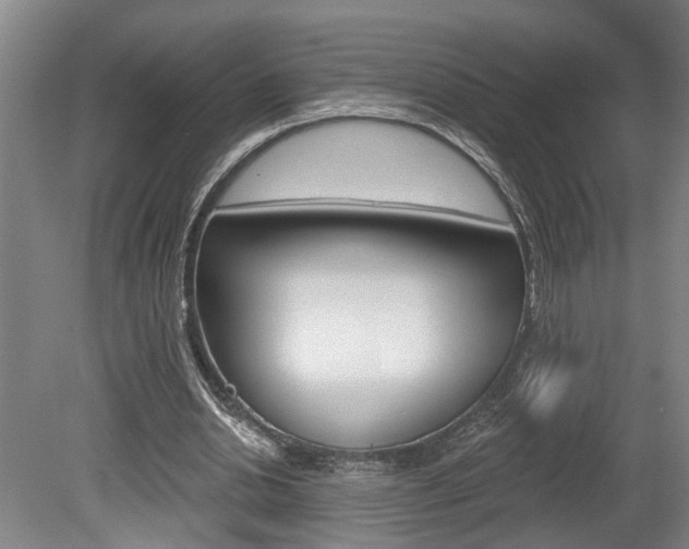 X0000078870438200611131032