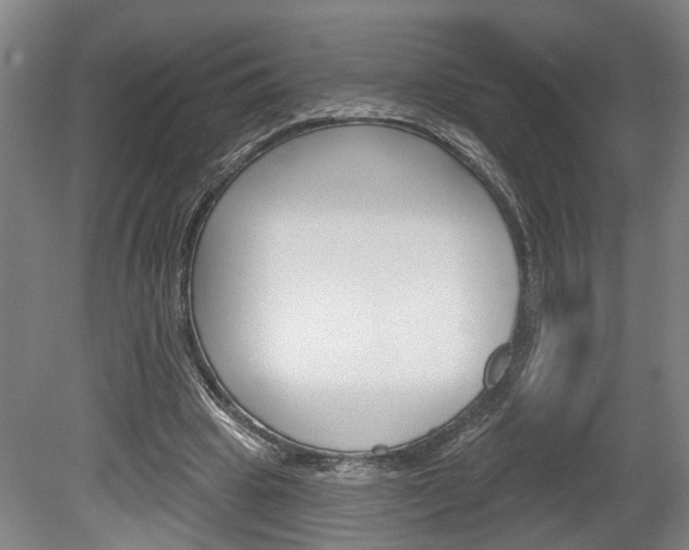 X0000078870441200611131032